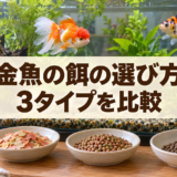 金魚の餌の選び方｜浮上性・沈下性・フレークを比較のアイキャッチ画像