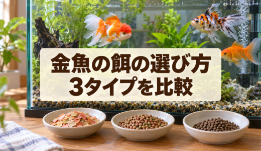 金魚の餌の選び方｜浮上性・沈下性・フレークを比較