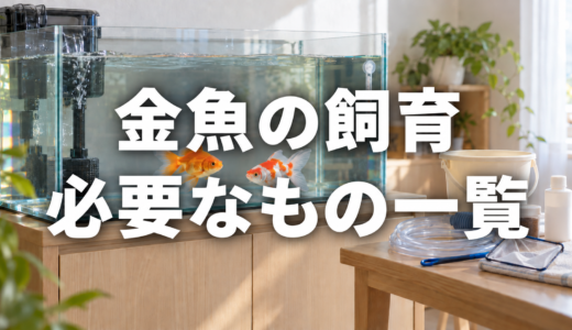 金魚の飼育に必要なもの一覧｜初めてそろえる用品と選び方