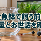 金魚鉢で金魚は飼える？水量・酸素・水換えと品種選びの注意点