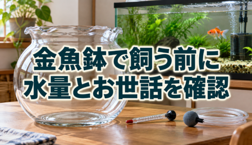金魚鉢で金魚は飼える？水量・酸素・水換えと品種選びの注意点