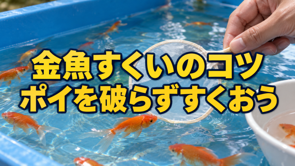 金魚すくいのコツ6つ｜ポイの使い方と持ち帰る前の準備のアイキャッチ画像
