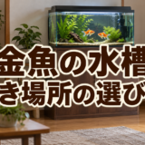 金魚の水槽はどこに置く？置き場所・水槽台・電源の確認ポイント