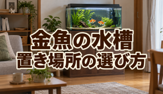 金魚の水槽はどこに置く？置き場所・水槽台・電源の確認ポイント