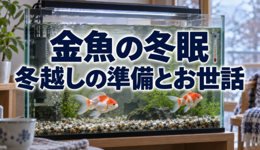 金魚の冬眠は必要？冬越しの準備と餌・水換えの考え方