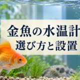 金魚水槽の水温計の選び方｜種類・設置場所・見方を解説