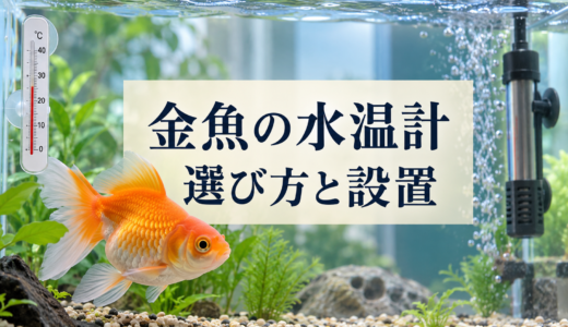 金魚水槽の水温計の選び方｜種類・設置場所・見方を解説