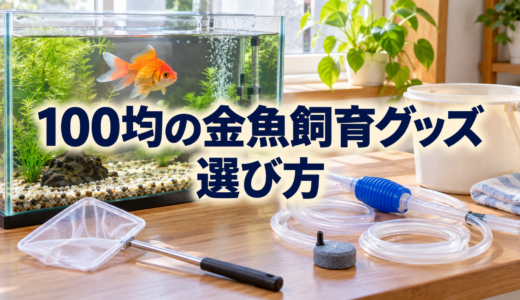 100均の金魚飼育グッズ｜使える用品と専用品を選ぶ基準