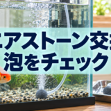 金魚水槽のエアストーン交換時期｜泡が弱い・詰まるときの確認