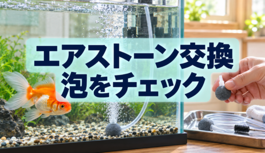 金魚水槽のエアストーン交換時期｜泡が弱い・詰まるときの確認