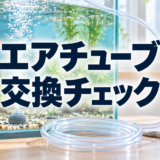 金魚水槽のエアチューブ交換時期｜硬化・汚れ・逆流を点検