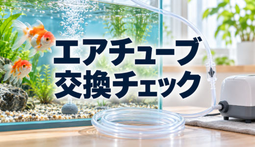 金魚水槽のエアチューブ交換時期｜硬化・汚れ・逆流を点検