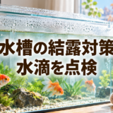金魚水槽の結露対策。ふた・照明・窓際の見直し方