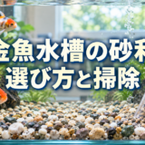 金魚水槽の砂利は必要？選び方・敷き方・掃除と砂利なしの違いのアイキャッチ