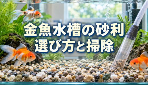 金魚水槽の砂利は必要？選び方・敷き方・掃除と砂利なしの違い