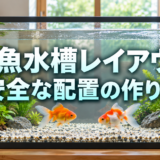 金魚水槽のレイアウト例|泳ぎやすく掃除しやすい配置の作り方のアイキャッチ