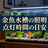 金魚水槽の照明は何時間？点灯・消灯とコケ対策の基本