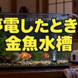 金魚水槽が停電したら?酸素・水温・ろ過を守る準備と対応