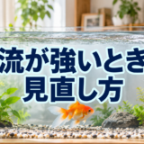 金魚水槽の水流が強いときの見直し｜泳ぎ方・吐出口・流量調整