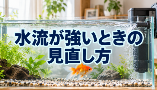 金魚水槽の水流が強いときの見直し｜泳ぎ方・吐出口・流量調整