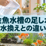 金魚水槽の足し水方法｜蒸発分の補給と水換えの違い