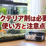 金魚水槽のバクテリア剤は必要？立ち上げ時の使い方と注意点