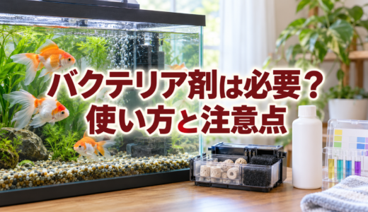 金魚水槽のバクテリア剤は必要？立ち上げ時の使い方と注意点