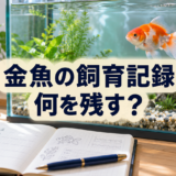 金魚の飼育記録のつけ方｜水温・水換え・餌・体調を残すコツ