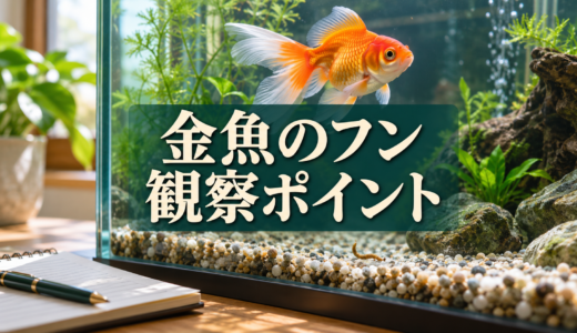 金魚のフンで何がわかる？色・長さ・回数を観察するポイント