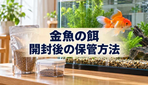 金魚の餌の保管方法｜開封後の湿気・酸化・期限を確認