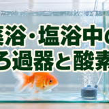 金魚の薬浴・塩浴中にろ過器は使う?ろ材・活性炭・酸素供給