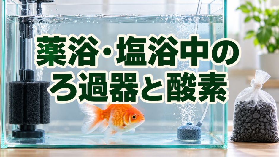 金魚の薬浴・塩浴中にろ過器は使う？ろ材・活性炭・酸素供給