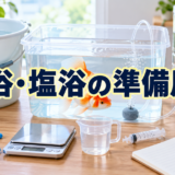 金魚の薬浴・塩浴に必要なもの｜専用容器と道具の準備のアイキャッチ