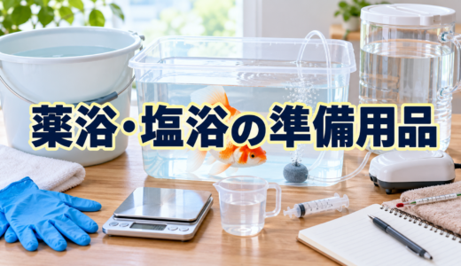 金魚の薬浴・塩浴に必要なもの｜専用容器と道具の準備