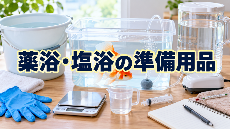 金魚の薬浴・塩浴に必要なもの｜専用容器と道具の準備のアイキャッチ