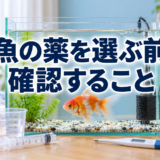 金魚の薬を選ぶ前に確認すること｜効能・水量・計量・期限の見方