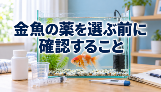 金魚の薬を選ぶ前に確認すること｜効能・水量・計量・期限の見方