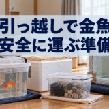 引っ越しで金魚を運ぶ方法|水槽・ろ材・飼育水の準備