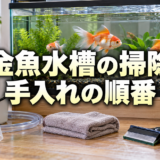 金魚水槽の掃除方法｜水換えと同時に進める手順と必要な道具のアイキャッチ