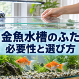 金魚水槽にふたは必要？飛び出し・蒸発・水はねを防ぐ選び方