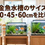 金魚水槽のサイズは何cm？30・45・60cmの選び方