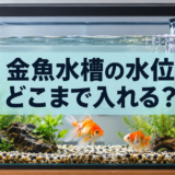 金魚水槽の水位はどこまで？水量・ふた・フィルターの確認ポイント