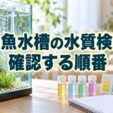金魚水槽の水質検査｜アンモニア・亜硝酸・pHを確認する順番
