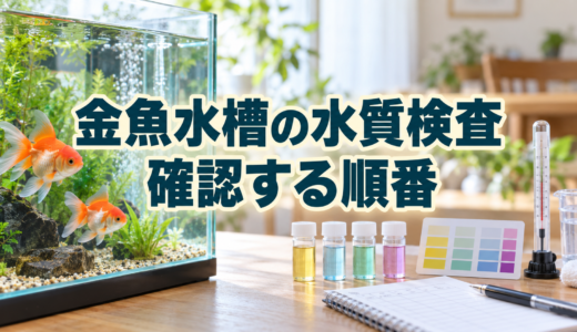 金魚水槽の水質検査｜アンモニア・亜硝酸・pHを確認する順番