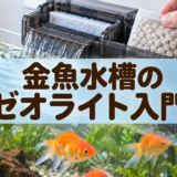 金魚水槽にゼオライトは必要？アンモニア吸着と交換の考え方