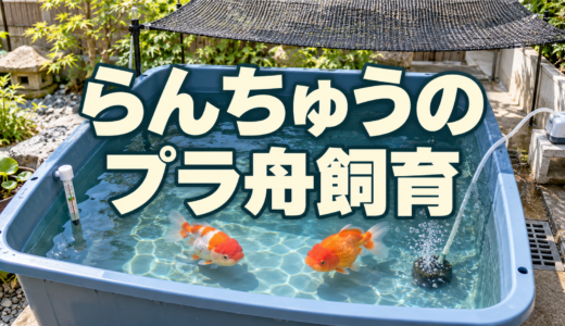らんちゅうをプラ舟で飼う準備｜置き場所・水量・日よけ・排水